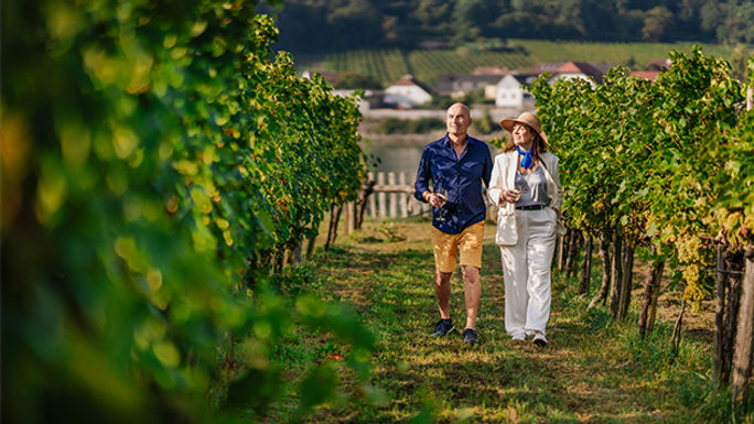 Touring a vineyard with AmaWaterways. 