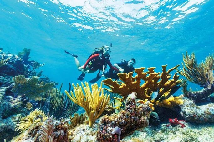 Couple scuba diving in a reef in Florida Keys and Key West