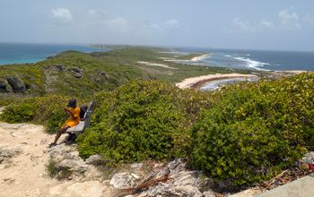 Guadeloupe Pointe des chateaux