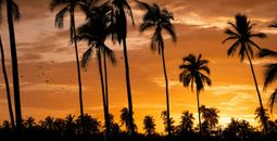 Baja Radiance by Classic Vacations® - Stay 4 or More Nights and Receive $220 in Resort Credit