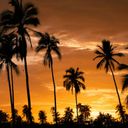 Baja Radiance by Classic Vacations? - Stay 4 or More Nights and Receive $220 in Resort Credit