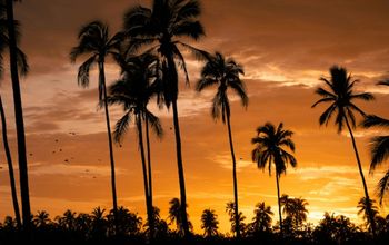 Baja Radiance by Classic Vacations? - Stay 4 or More Nights and Receive $220 in Resort Credit