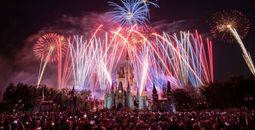 Fourth of July fireworks over the Magic Kingdom