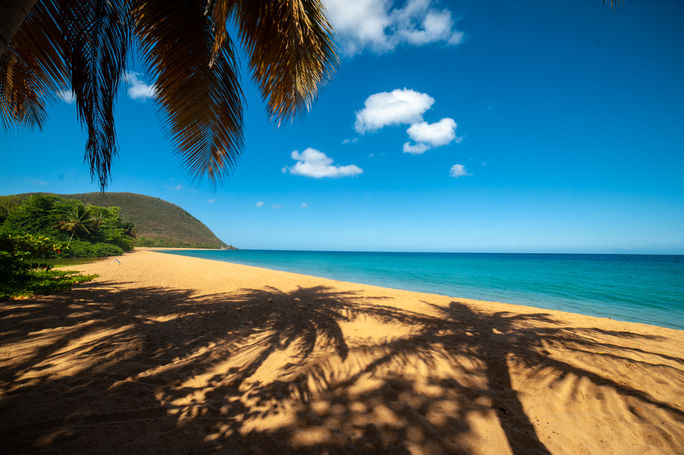 Explore the Guadeloupe Islands

Grande Anse Beach