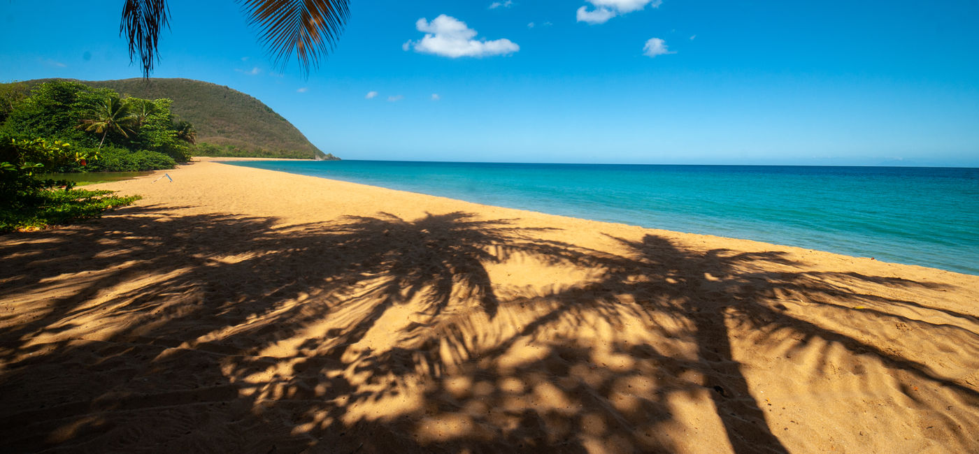 Image: Grande Anse Beach (Photo Credit: Guadeloupe Islands Tourism Board)