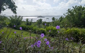 Club Med Martinique