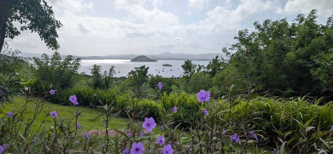 Image: Club Med Martinique (Photo Credit: Bert Archer)