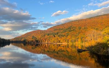 Fall colors in Brattleboro, Vermont