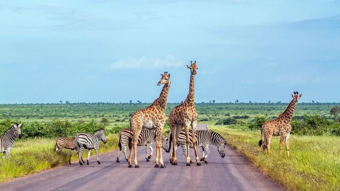 13-day Cape, Kruger & Victoria Falls Premium Small Group Tour