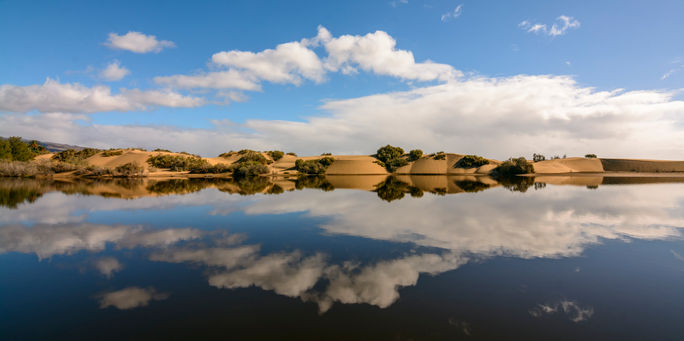 Charca de Maspalomas, Gran Canaria
