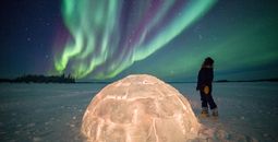 Northern Lights Odyssey
