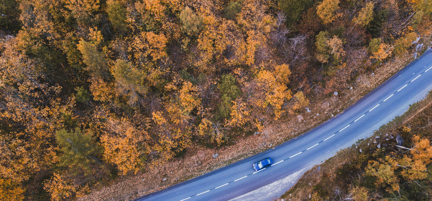 Top destinations for fall 2024