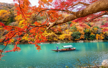 Fall travel in Kyoto, Japan
