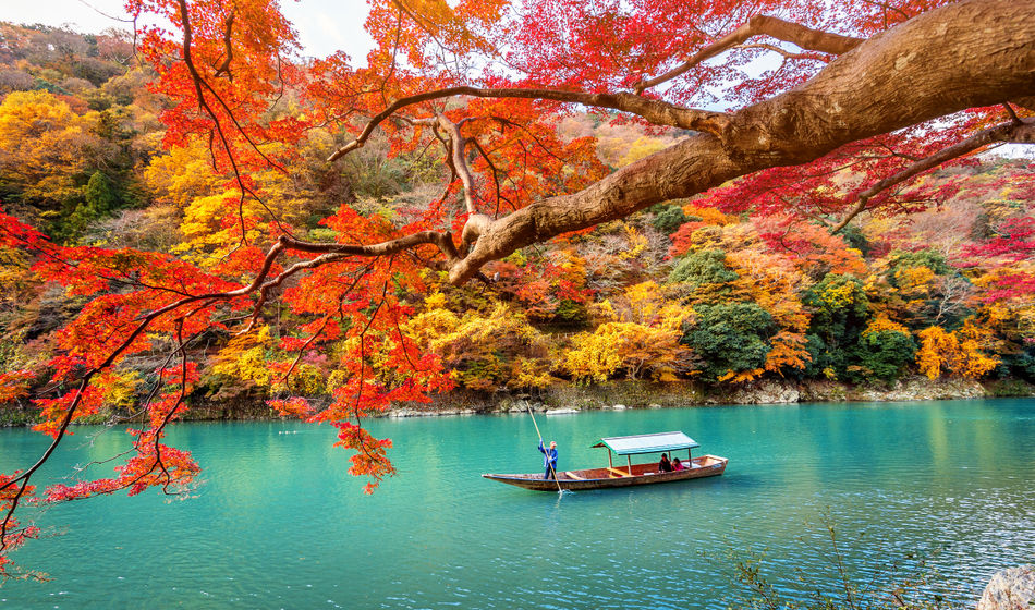 Fall travel in Kyoto, Japan
