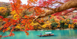 Fall travel in Kyoto, Japan