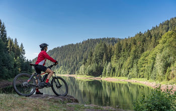 mountain bike, black forest, germany