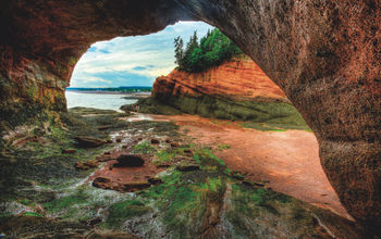 New Brunswick: Bay of Fundy and Campobello Island