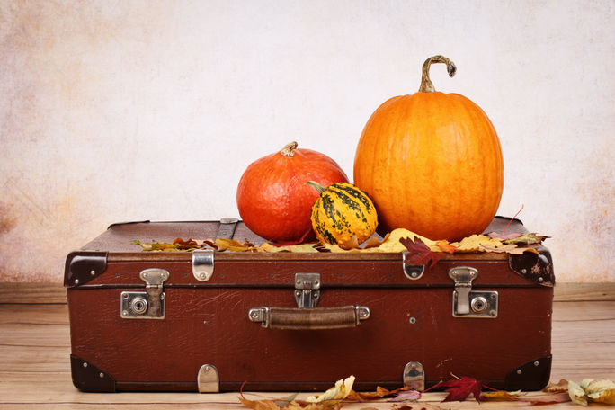 Vintage suitcase with fall leaves and pumpkins.