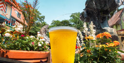 Free beer at Busch Gardens Williamsburg.