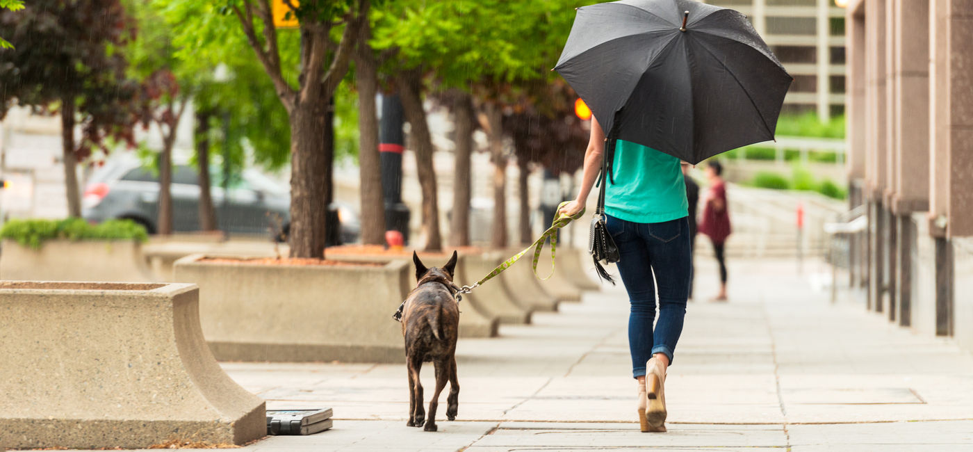 Image: PHOTO: Woman walking her dog in Salt Lake City, Utah. (photo via georgeclerk/E+)