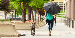 Woman walking her dog in Salt Lake City, Utah