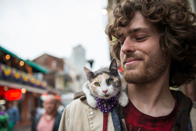 A man enjoys New Orleans' Bourbon Street with his pet cat A man enjoys New Orleans' Bourbon Street with his pet cat