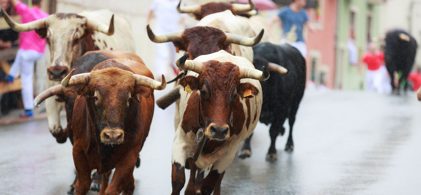 Image: Running with the bulls in Spain (Photo Credit: bonilla1879 / Adobe Stock)