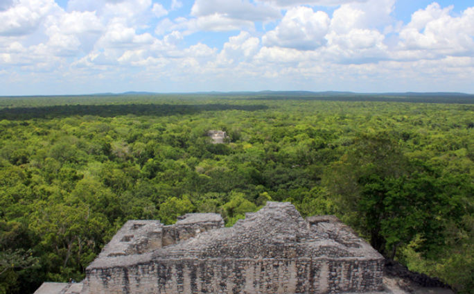 Calakmul, Mexico Calakmul, Mexico