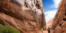 Capitol Reef National Park