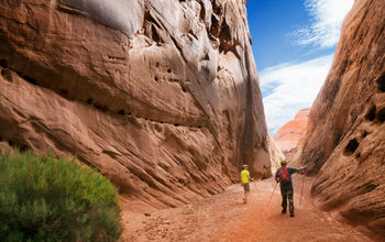 Capitol Reef National Park
