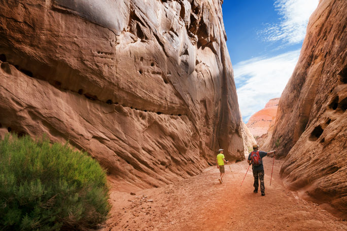 Capitol Reef National Park