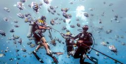 The Fun Never Ends in The Dominican Republic