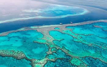 Great Barrier Reef