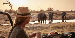 African safari