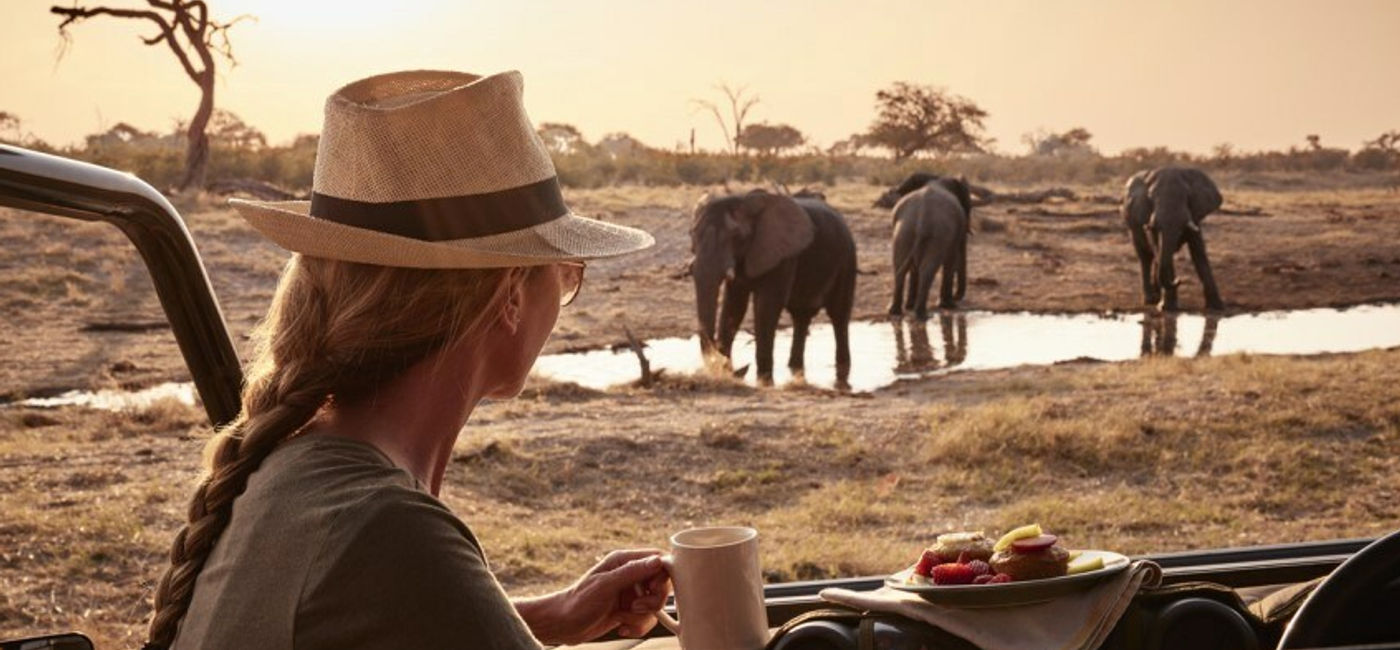 Image: African safari. (Photo Credit: Savute Elephant Lodge, a Belmond Safari)