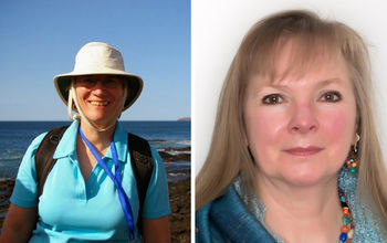 Shawn Kilner and Sheila Gallant-Halloran, Direct Travel