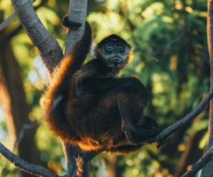 Nicaragua