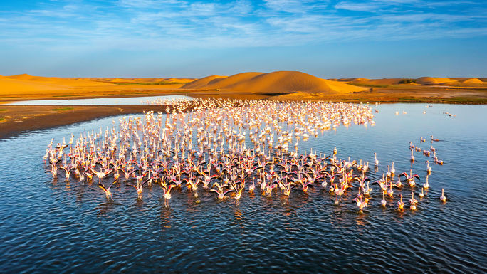 Experience the wonders of nature on a Collette Tour.