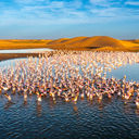 Kick Off 2026 With Big Savings — Up to $1,500 Off Worldwide Tours