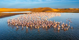 Kick Off 2026 With Big Savings — Up to $1,500 Off Worldwide Tours