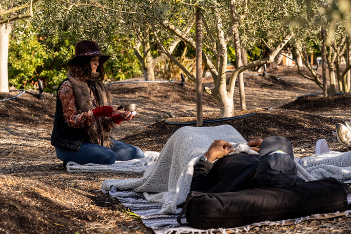 Forest Bathing at Timber Cove Resort