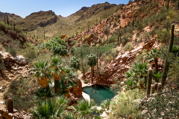 Hot Springs Resorts in Winter

Castle Hot Springs also offers farm-to-table meals, guided adventures and other activities.