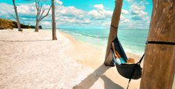 Relaxing in a hammock