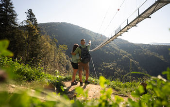 Hiking in the Black Forest