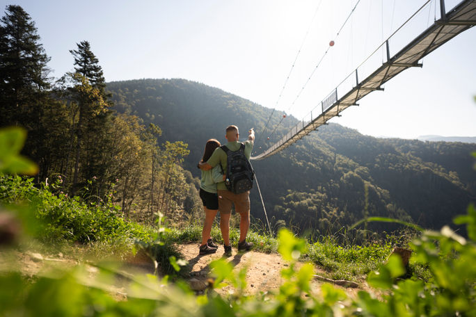 Hiking in the Black Forest
