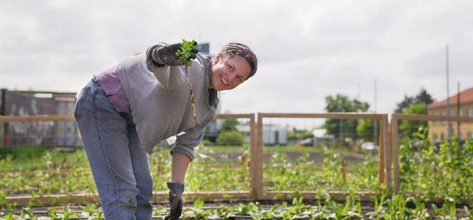Travelers who volunteer at the urban farm Øens Have can enjoy a free farm-to-table lunch with CopenPay. Wonderful copenhagen, copenhagen attractions, copenpay, sustainable travel
