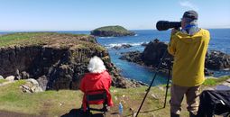 Puffin viewing in Elliston, Newfoundland