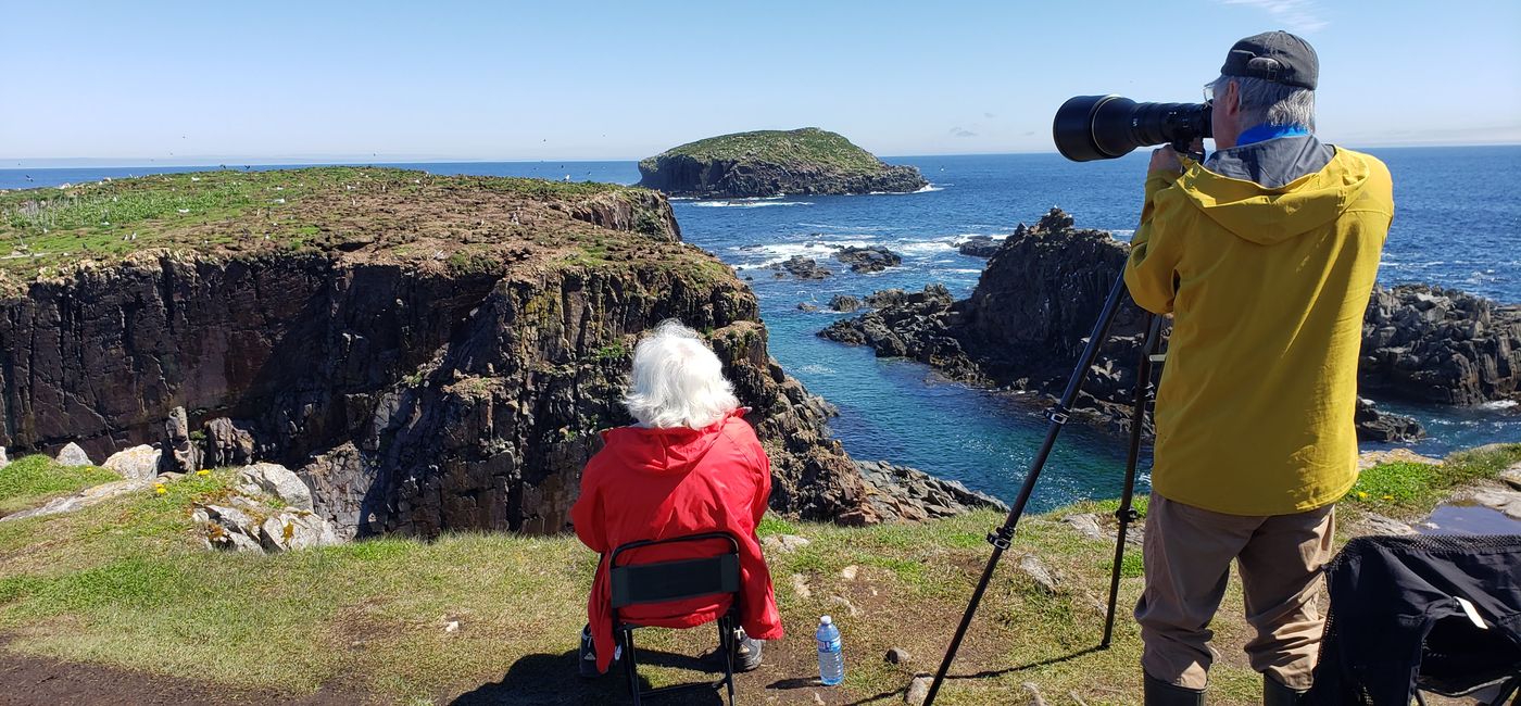 Image: Puffin viewing in Elliston, Newfoundland (Photo Credit: Jen Mallia)