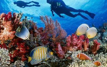 Diving in Cuba