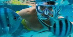 Paul Gauguin Cruises: Moana Explorer Program
